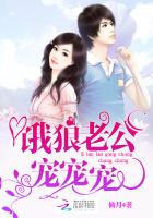 饿狼老公宠宠宠